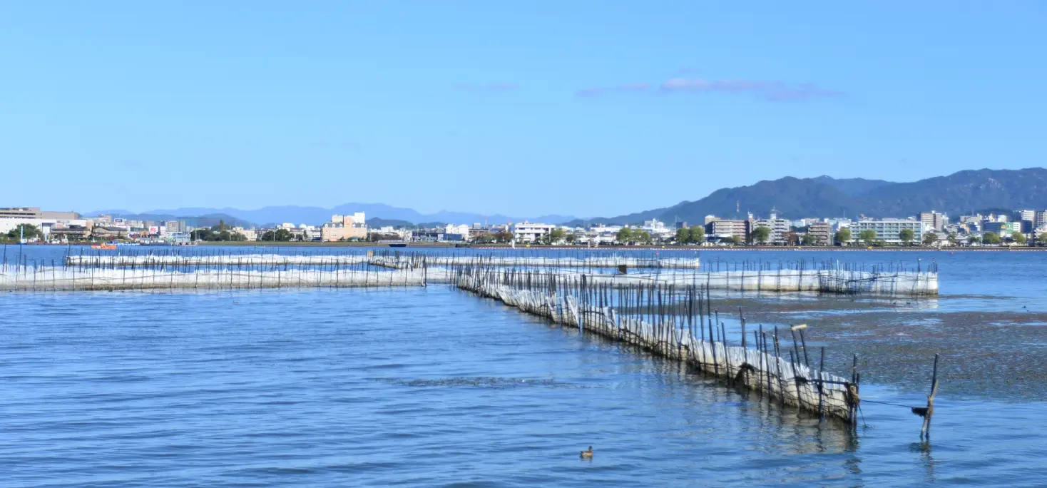 琵琶湖漁体験